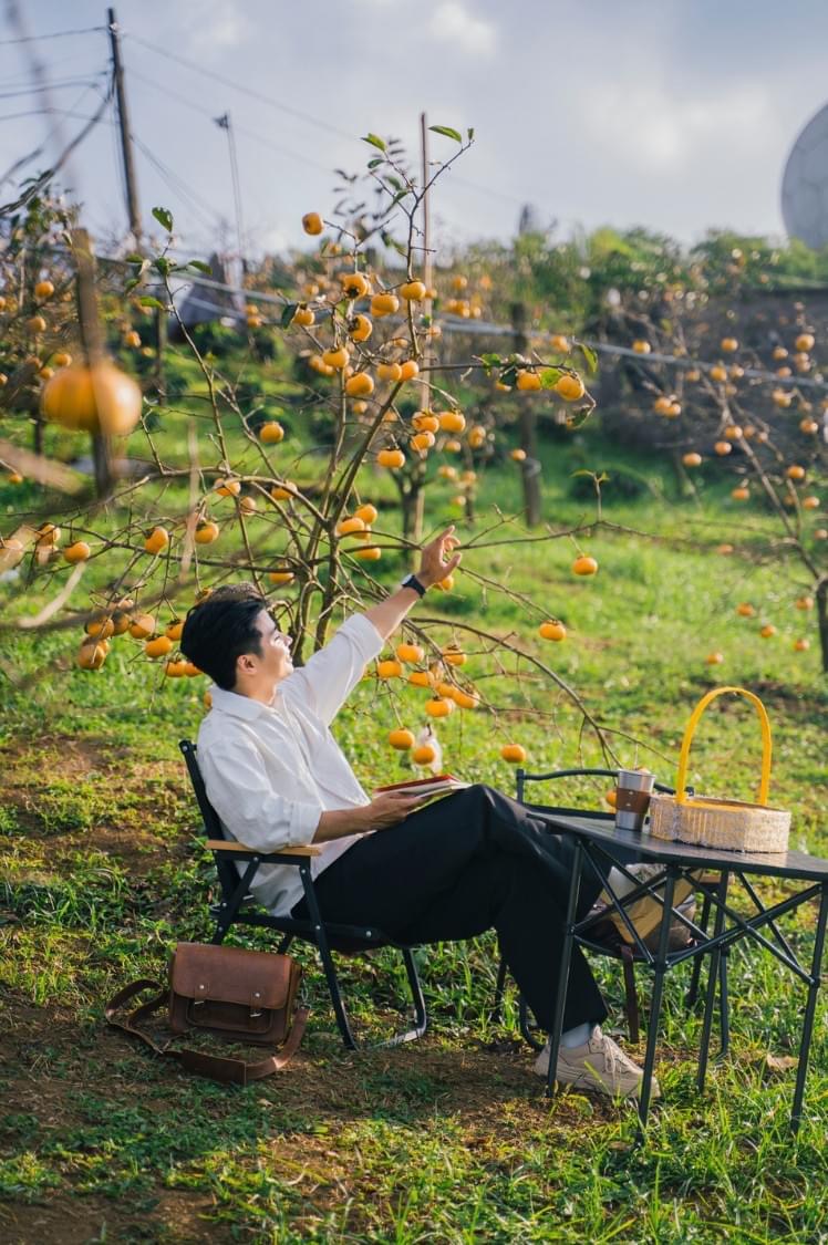 vườn hồng Mộc Châu
