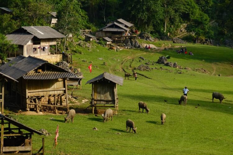 Làng nguyên thủy Mộc Châu - Nơi người H'Mông trốn cả thế giới