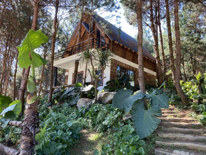 03 Bedroom Villas